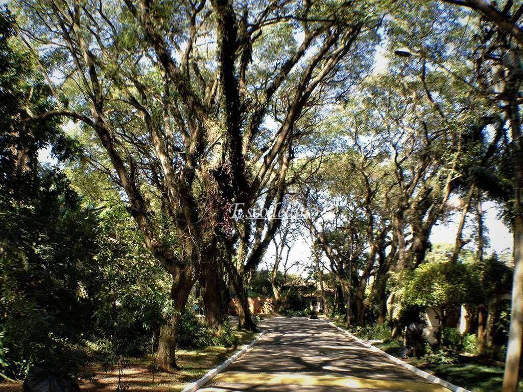 Terreno à venda, 519 m² por R$ 750.000,00 - Bosque do Vianna - Cotia/SP