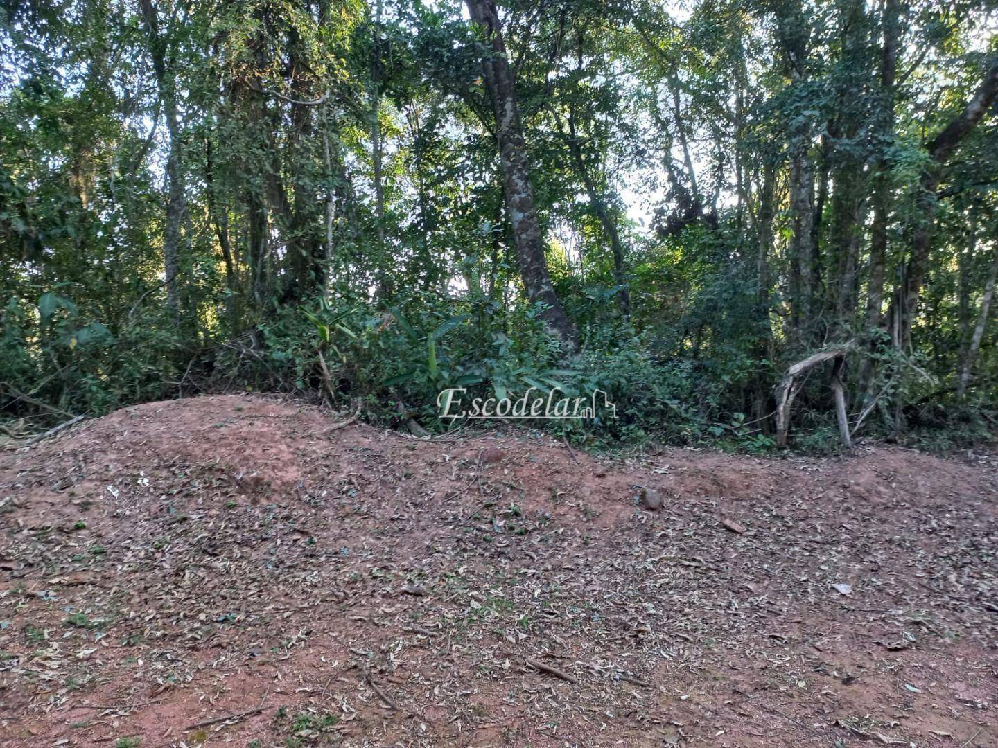Terreno à venda, 4812 m² por R$ 350.000,00 - Serra da Cantareira - Mairiporã/SP