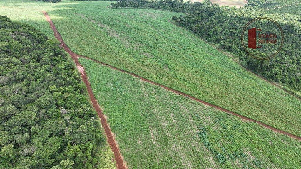 Excepcional Fazenda em Mococa - SP, 98 alqs Centenria, 2 represas MOCOCA - SP