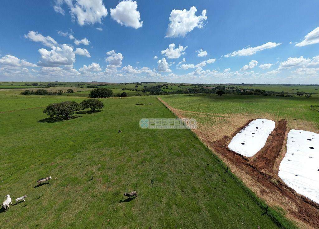 Sítio à venda,37 Alqueires Paulista por R$ 8.590.000 - Zona Rural - Jaguapitã/PR