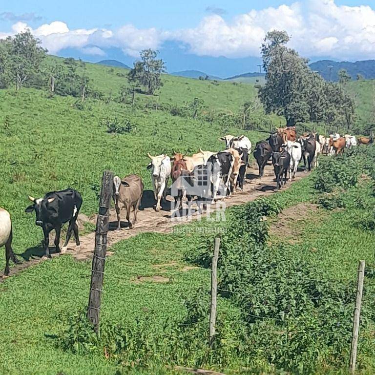 Fazenda com 3 dormitórios à venda, 2032800 m² por R$ 6.500.000,00 - Papucaia - Cachoeiras de Macacu/RJ