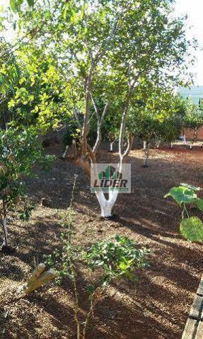 Terreno no bairro Harmonia em Canoas.