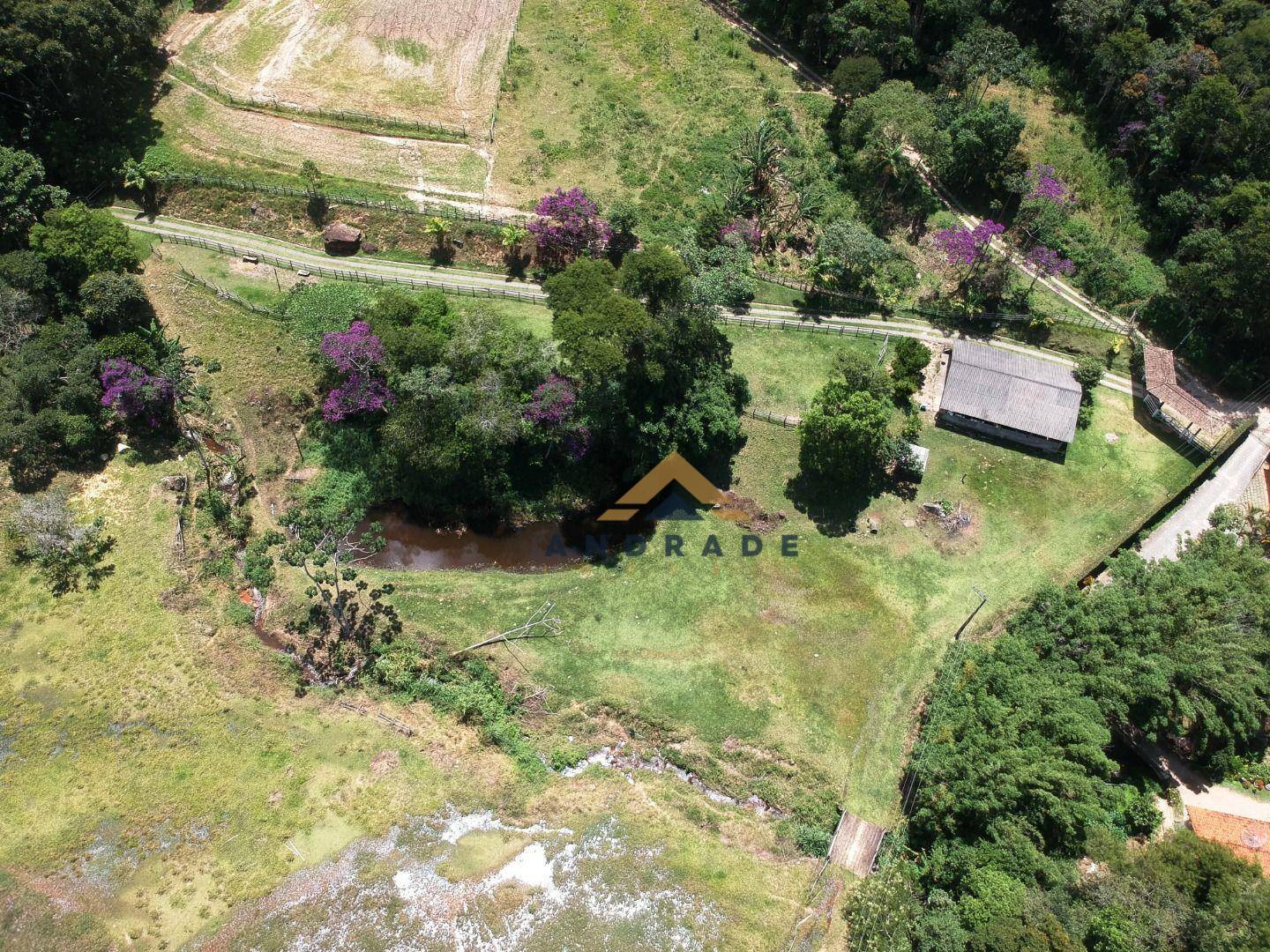 Fazenda / Sítio à venda em Vargem Grande, Teresópolis - RJ - Foto 4