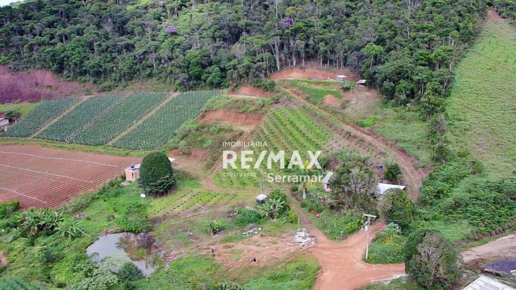 Fazenda / Sítio à venda em Campo do Coelho, Nova Friburgo - RJ - Foto 4