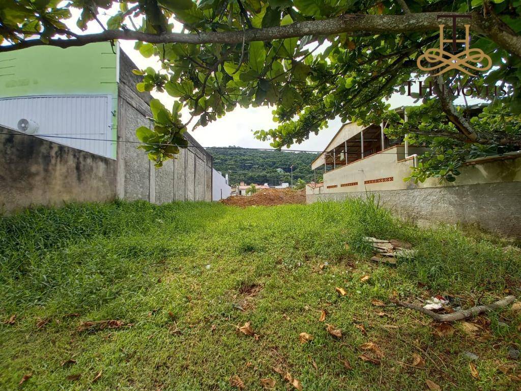 Terreno para alugar, 252 m² por R$ 1.700,00/mês - Nova Esperança - Balneário Camboriú/SC