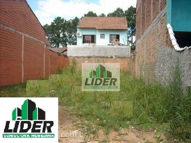 Lote / Terreno