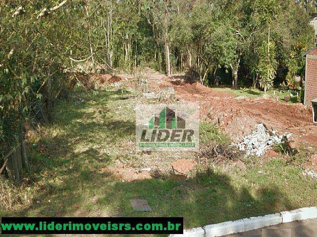 Lote / Terreno