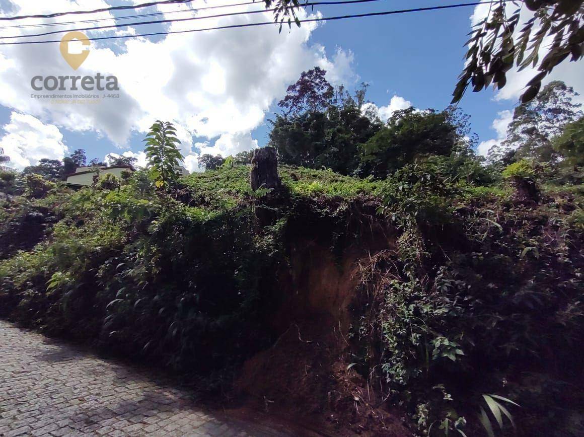 Terreno Residencial à venda em Ponte da Saudade, Nova Friburgo - RJ - Foto 5