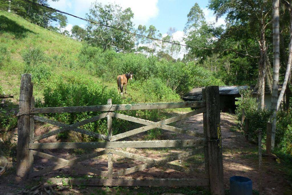 Fazenda / Sítio à venda em Parque Boa União, Teresópolis - RJ - Foto 50