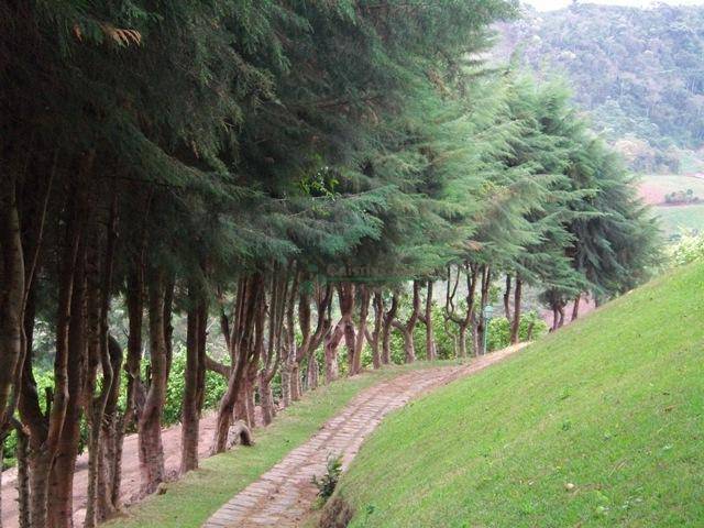 Fazenda / Sítio à venda em Vieira, Teresópolis - RJ - Foto 27