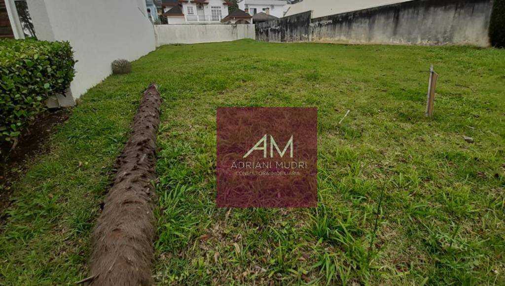 Terreno totalmente plano à venda, 420 m² por R$ 2.250.000 - Swiss Park - São Bernardo do Campo/SP