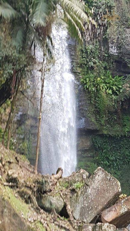 Chácara com 7 dormitórios à venda, 21000 m² por R$ 1.900.000,00 - Mirador - Presidente Getúlio/SC