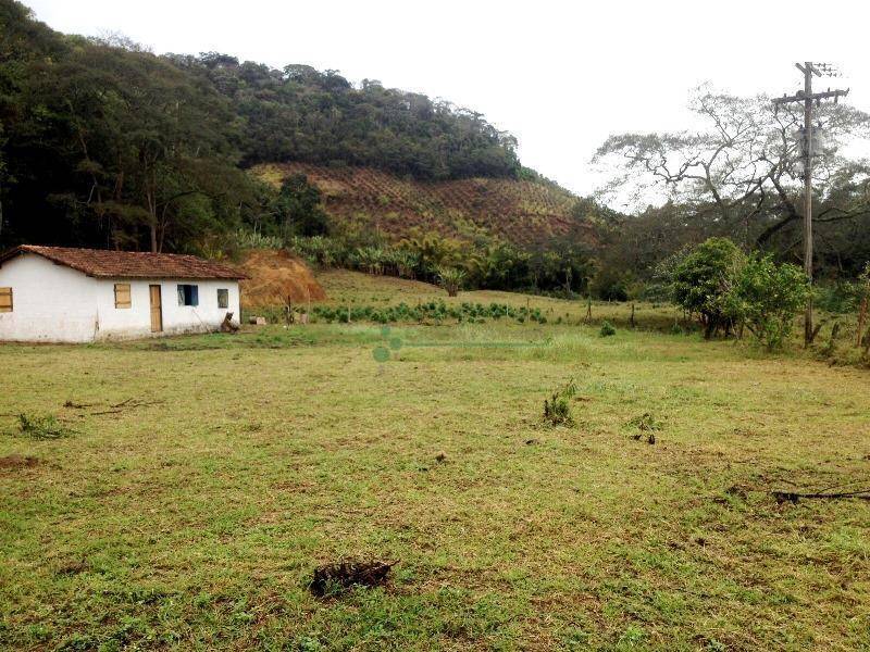 Fazenda / Sítio à venda em Providência, Teresópolis - RJ - Foto 4