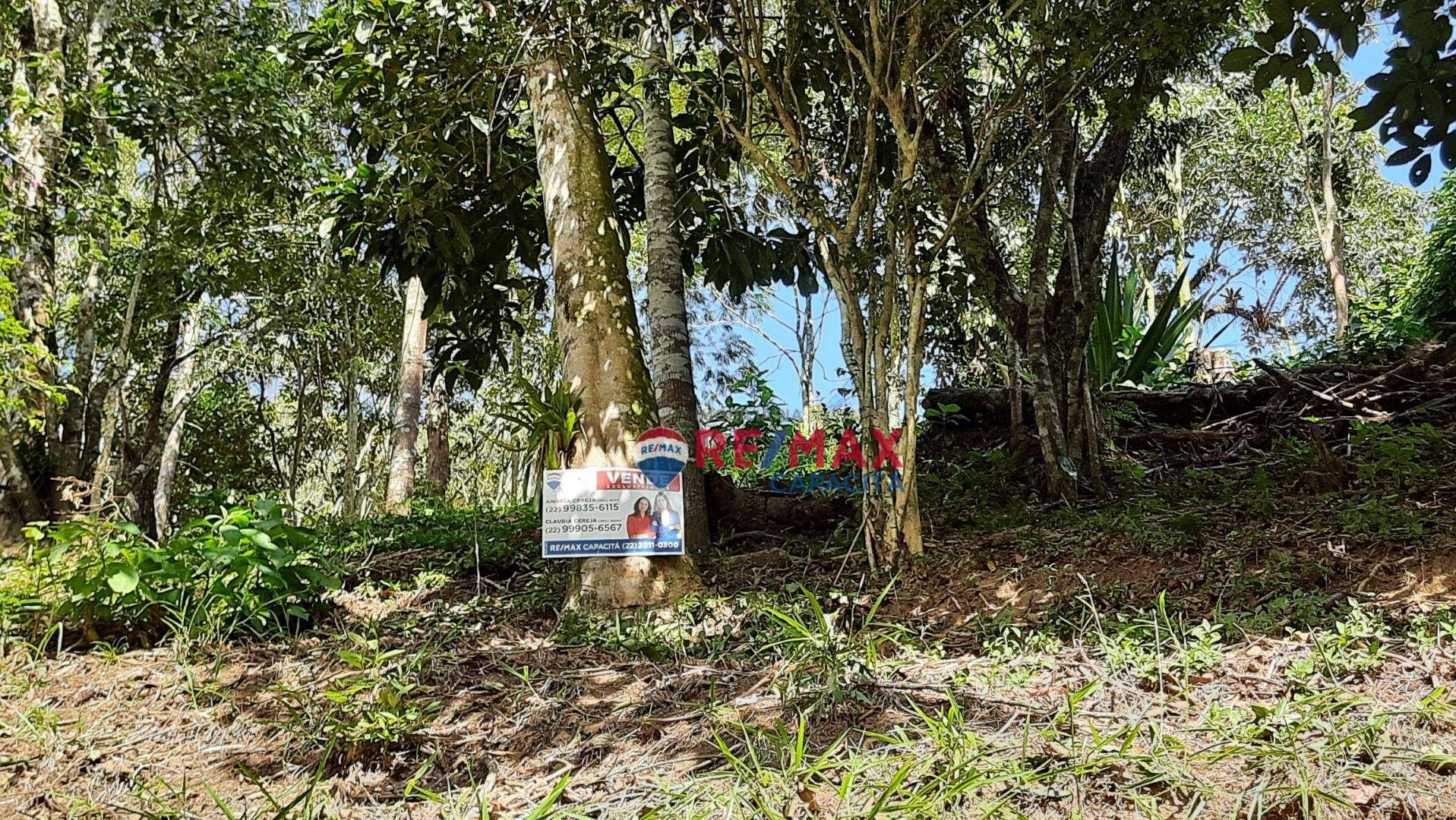 Fazenda / Sítio à venda em Rio Bonito de Lumiar, Nova Friburgo - RJ - Foto 30