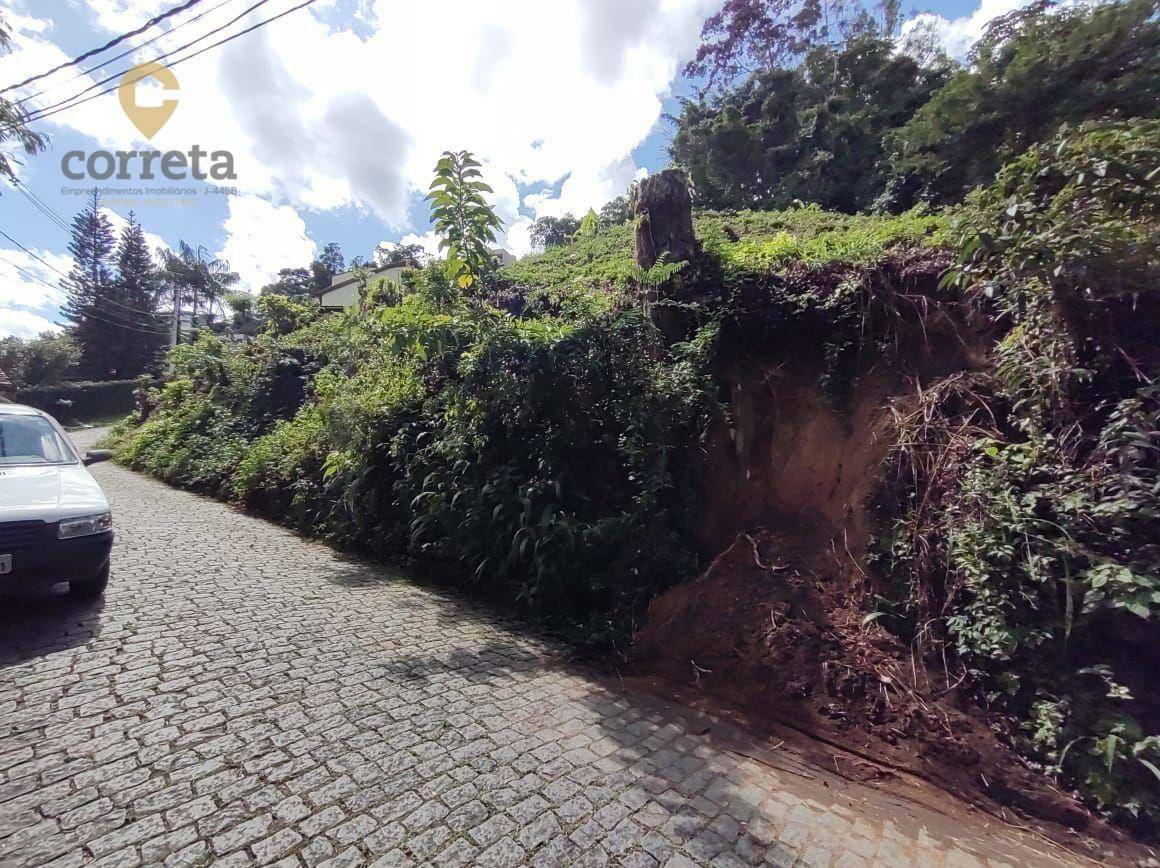 Terreno Residencial à venda em Ponte da Saudade, Nova Friburgo - RJ - Foto 1