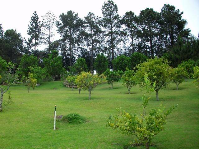 Fazenda / Sítio à venda em Vieira, Teresópolis - RJ - Foto 5