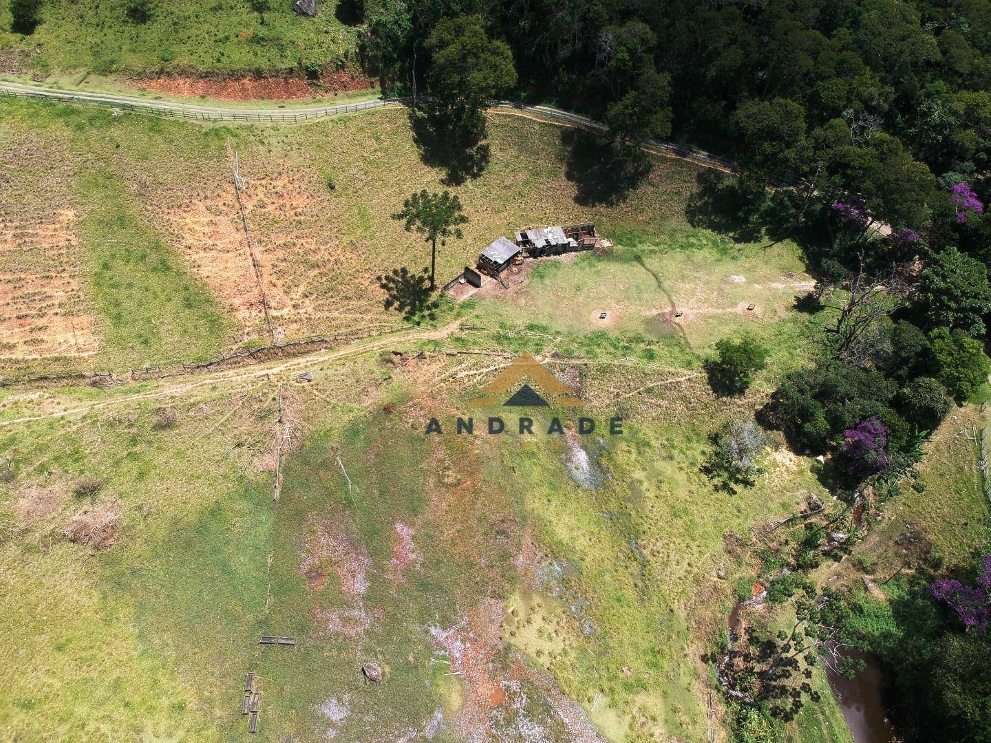 Fazenda / Sítio à venda em Vargem Grande, Teresópolis - RJ - Foto 5
