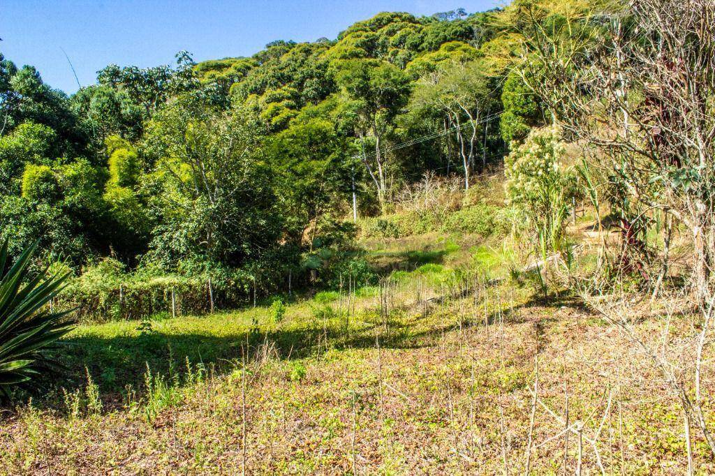 Fazenda / Sítio à venda em Vargem Grande, Teresópolis - RJ - Foto 26