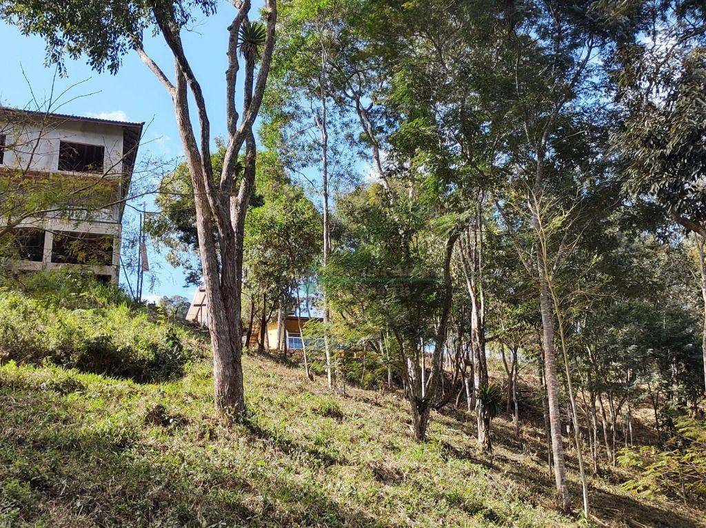 Terreno Residencial à venda em Vargem Grande, Teresópolis - RJ - Foto 11