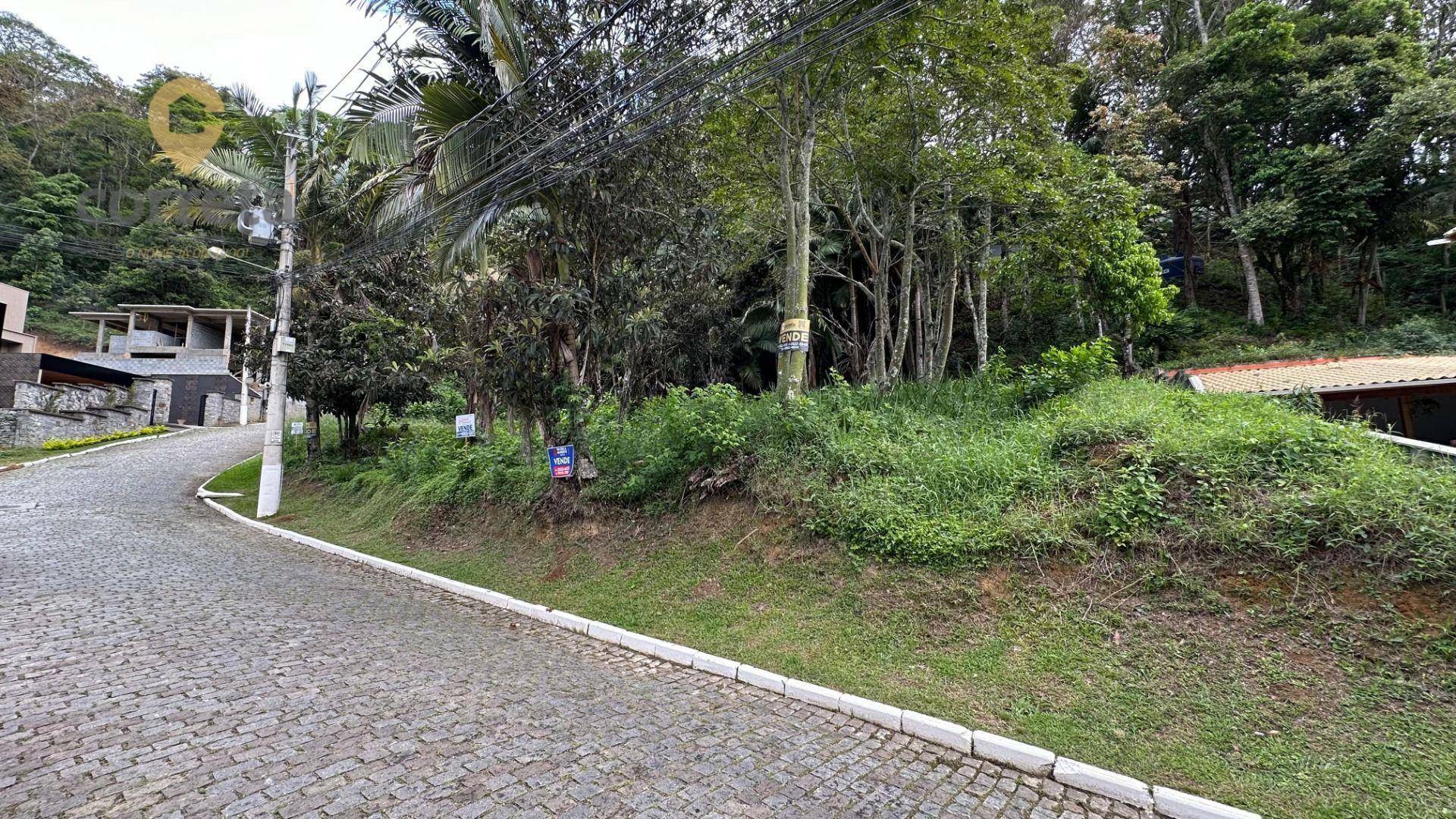 Terreno Residencial à venda em Cônego, Nova Friburgo - RJ - Foto 3