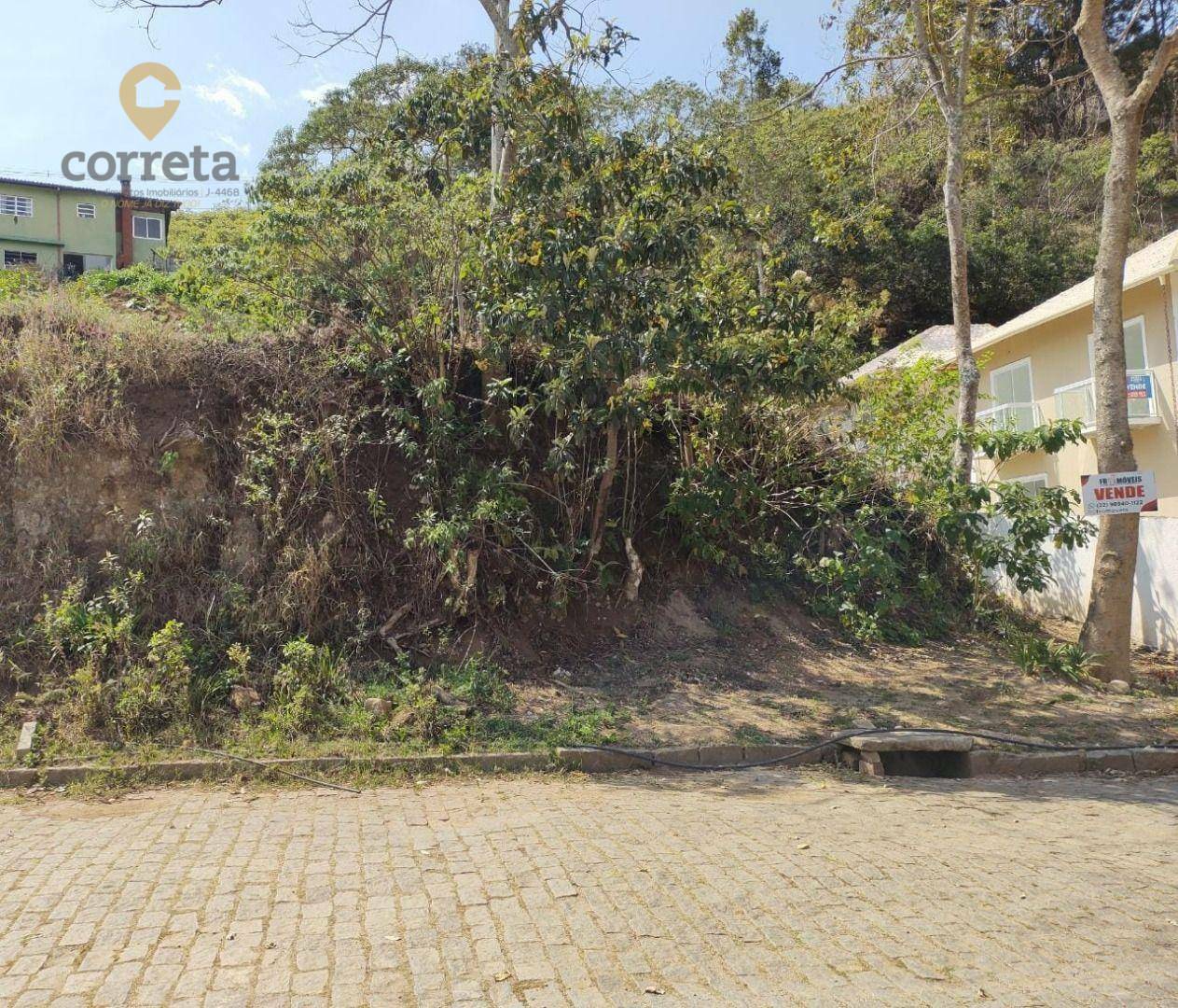 Terreno Residencial à venda em Sítio São Luís, Nova Friburgo - RJ - Foto 6