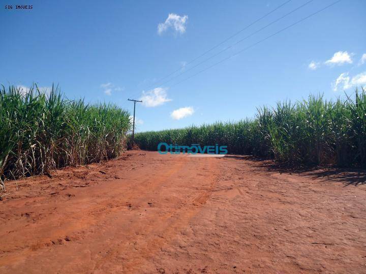 Fazenda de Cana em Paraguaçu Paulista - SP