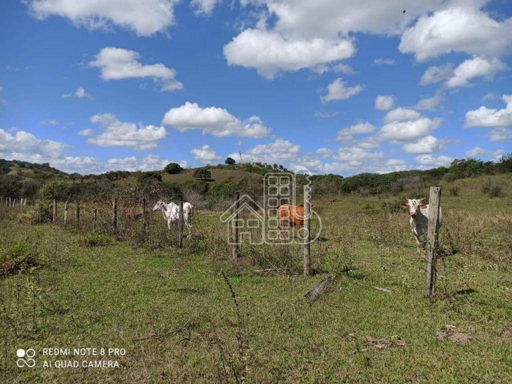 Terreno à venda, 40000 m² por R$ 600.000,00 - Granjas Cabuçu (Manilha) - Itaboraí/RJ