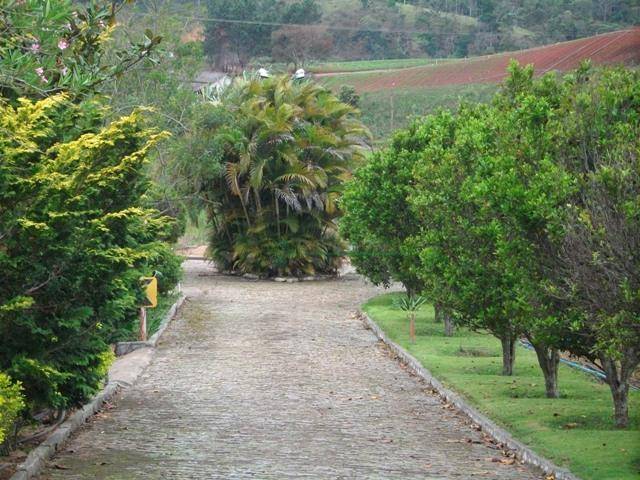 Fazenda / Sítio à venda em Vieira, Teresópolis - RJ - Foto 29