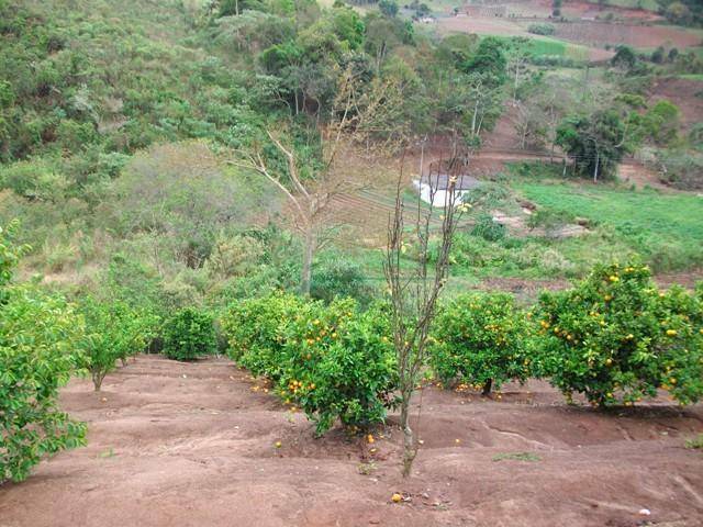 Fazenda / Sítio à venda em Vieira, Teresópolis - RJ - Foto 20