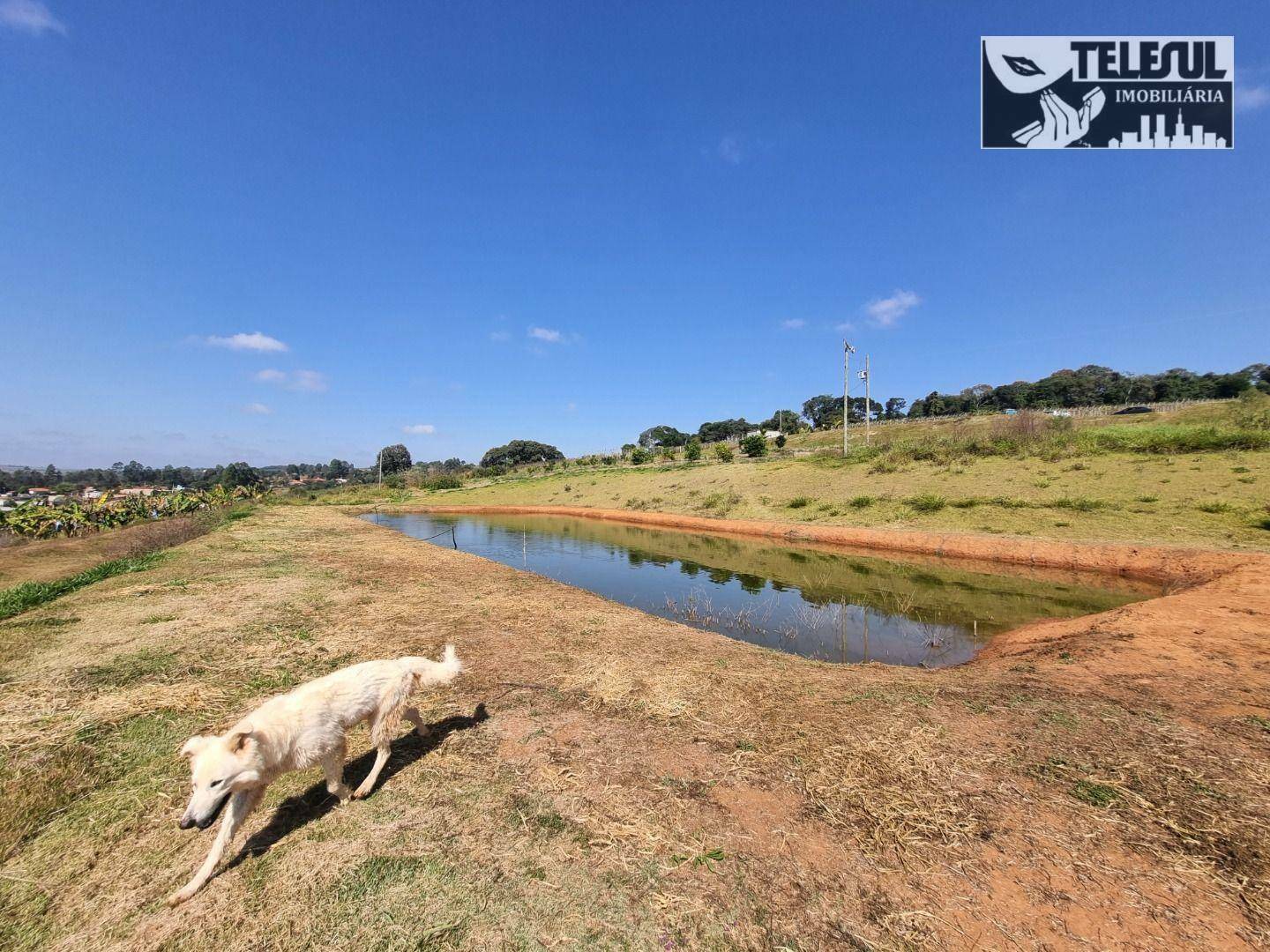 Chácara à venda com 1 quarto, 54000m² - Foto 14