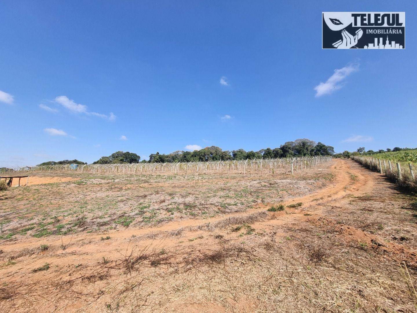 Chácara à venda com 1 quarto, 54000m² - Foto 5