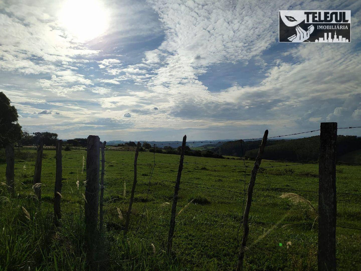 Terreno à venda, 20000m² - Foto 5