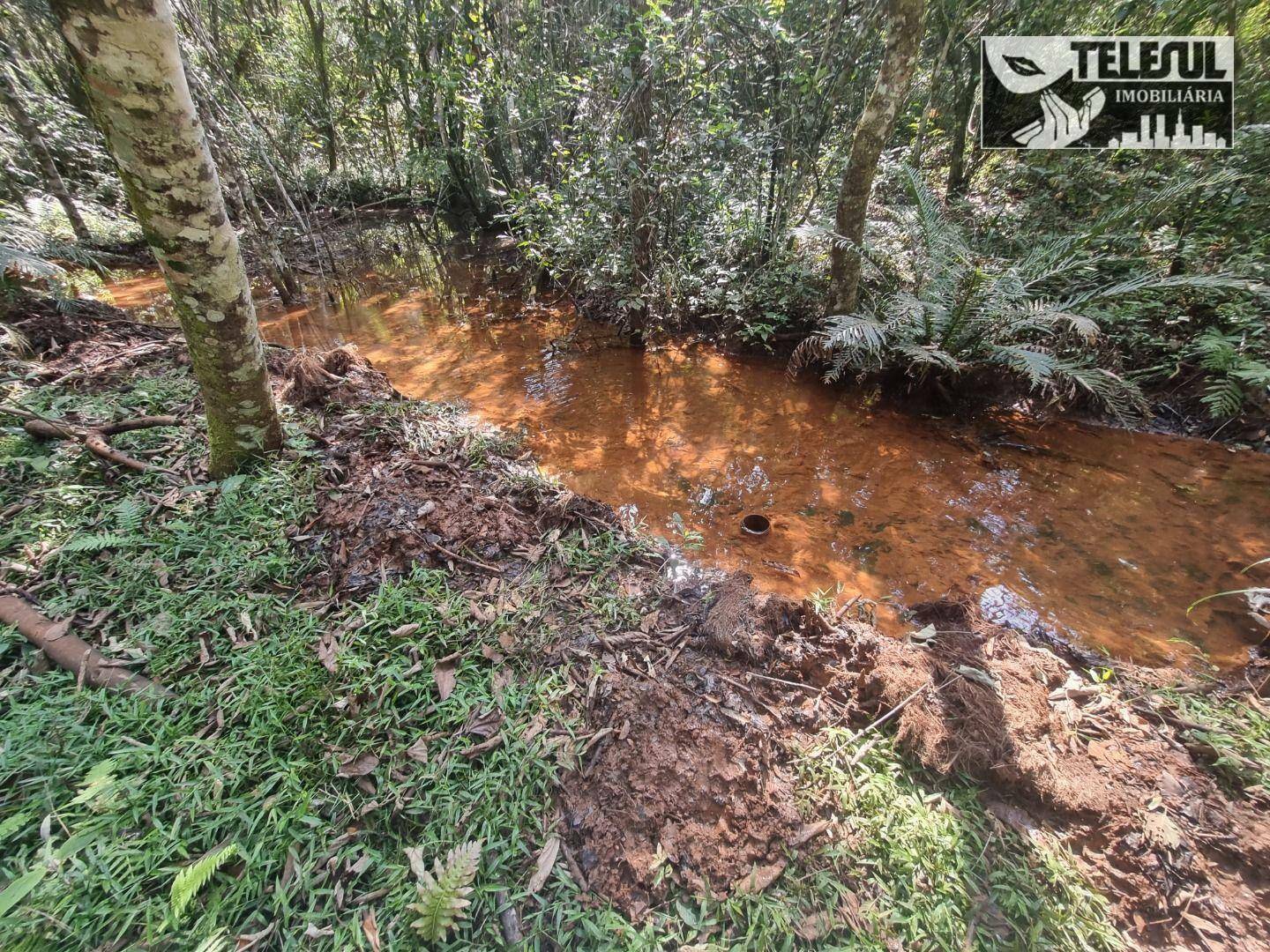 Chácara à venda com 1 quarto, 54000m² - Foto 20